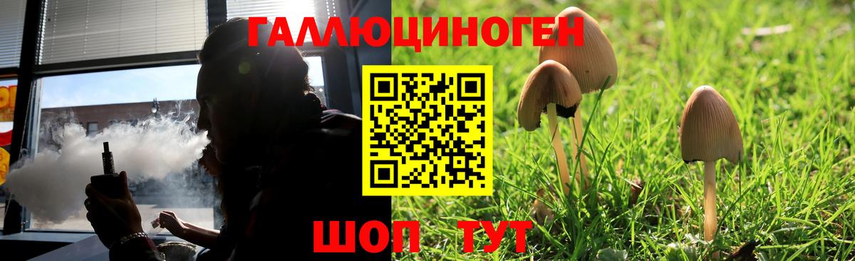 Галлюциногенные грибы Psilocybine cubensis Сердобск